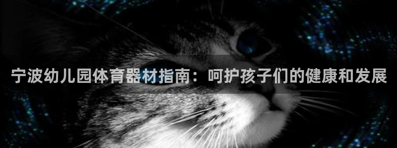 尊龙集团有限公司官网地址：宁波幼儿园体育器材指南：呵