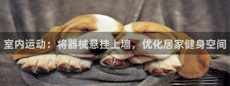 凯时官网app下载官方网站：室内运动：将器械悬挂上墙