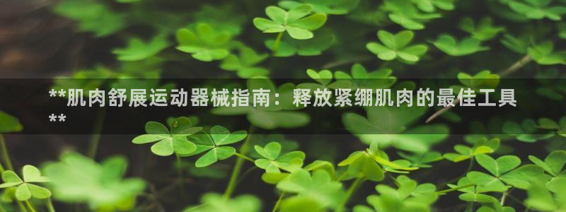 尊龙游戏app官方网站：**肌肉舒展运动器械指南：释