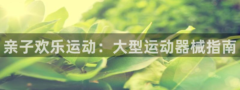 尊龙凯时网站首页手机登录：亲子欢乐运动：大型运动器械