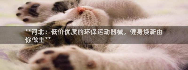 尊龙凯时提款冻卡吗：**河北：低价优质的环保运动器械