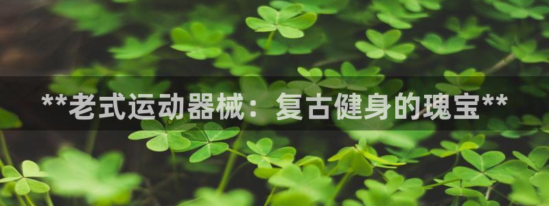 尊龙凯时人生就是博·(中国)官网：**老式运动器械：