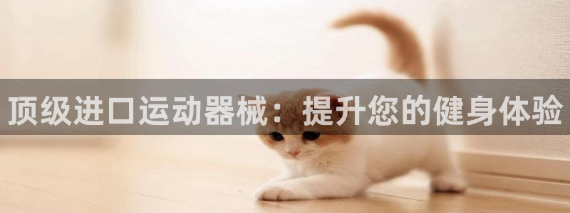 尊龙凯时台子：顶级进口运动器械：提升您的健身体验