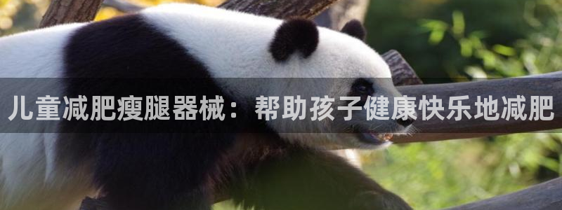 尊龙165：儿童减肥瘦腿器械：帮助孩子健康快乐地减肥