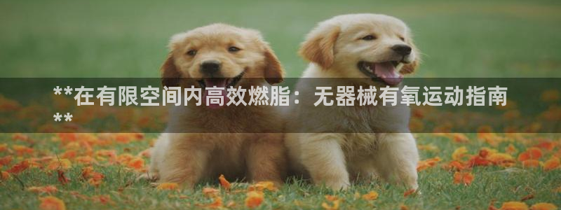 尊龙手机端下载：**在有限空间内高效燃脂：无器械有氧