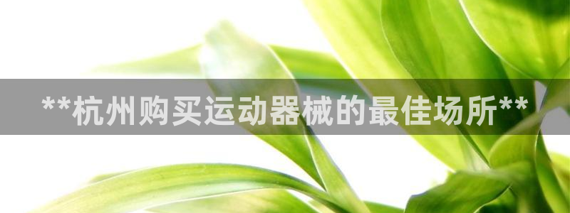 尊龙旗舰app：**杭州购买运动器械的最佳场所**