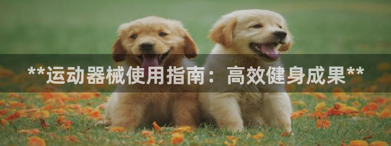 尊龙凯时vip：**运动器械使用指南：高效健身成果*