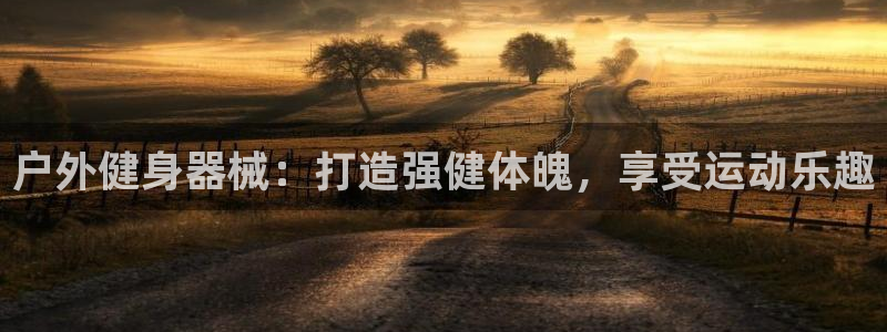 尊龙凯时人生就是搏技术实力：户外健身器械：打造强健体
