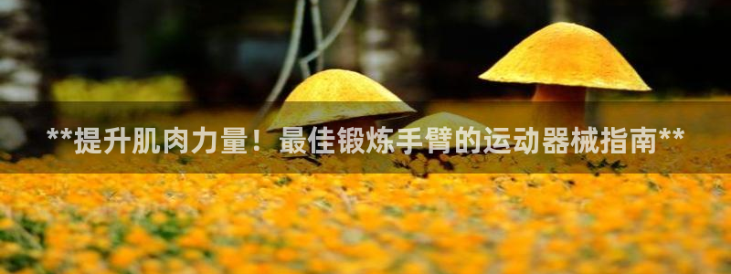 尊龙凯时是哪个国家的：**提升肌肉力量！最佳锻炼手臂的运动器