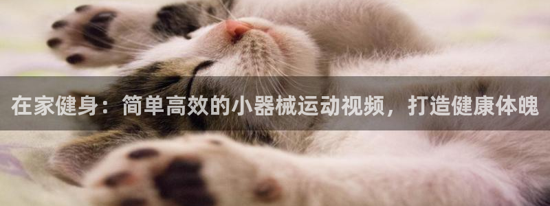 尊龙网址苹果版下载：在家健身：简单高效的小器械运动视