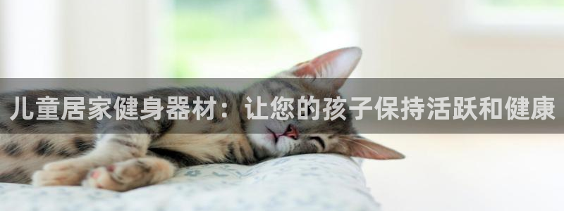 z6尊龙凯时：儿童居家健身器材：让您的孩子保持活跃和