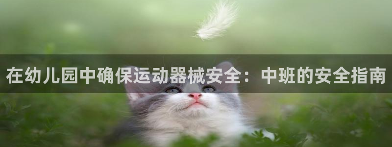 凯时k66官方发布：在幼儿园中确保运动器械安全：中班