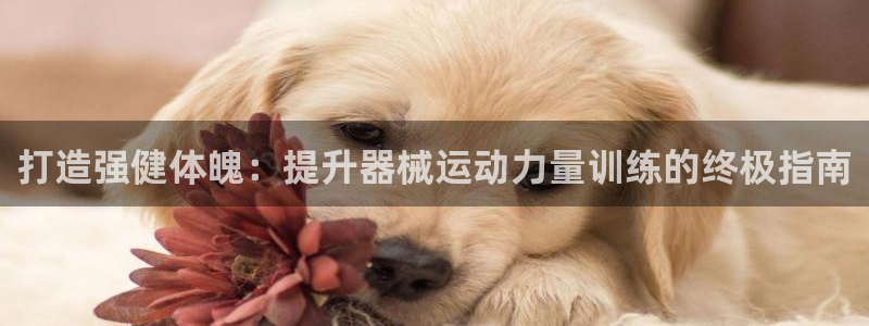 尊龙人生就是博首页：打造强健体魄：提升器械运动力量训