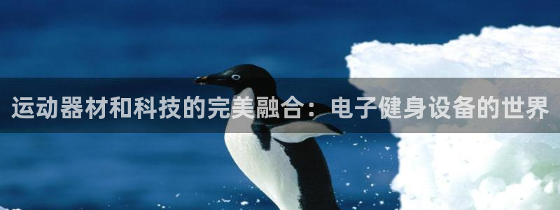 尊龙d88ag旗舰厅：运动器材和科技的完美融合：电子