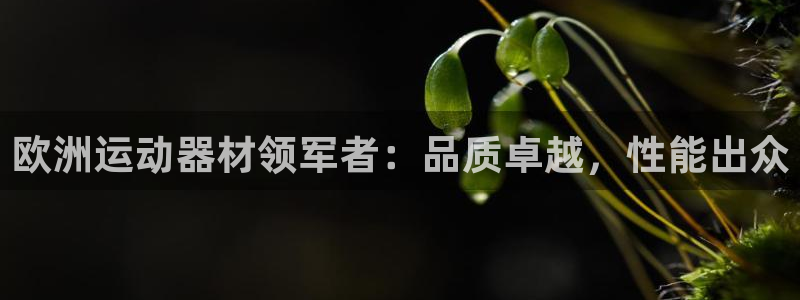 尊龙app怎么样：欧洲运动器材领军者：品质卓越，性能
