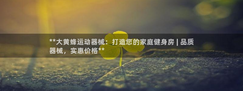 尊龙d88官网确来就送38：**大黄蜂运动器械：打造您的家庭