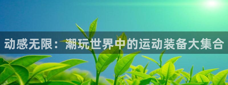 凯时k66登录
