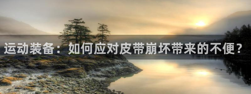 尊龙官方