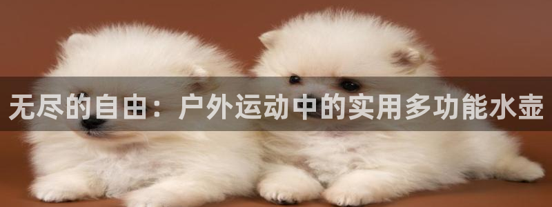 尊龙凯时一人生就是博登入