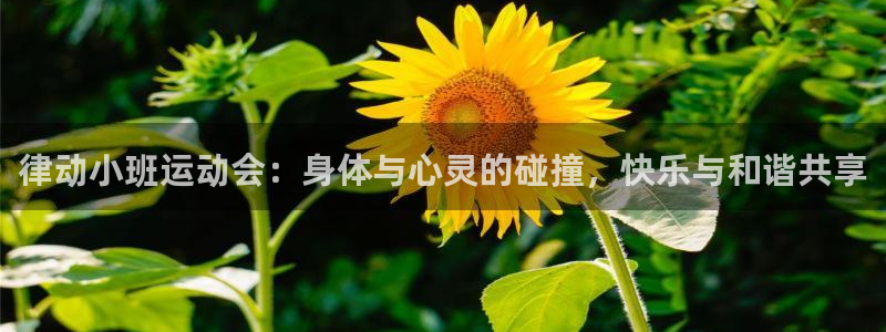 凯时kb88官方