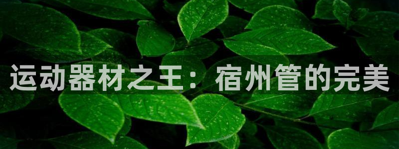 尊龙手机版下载