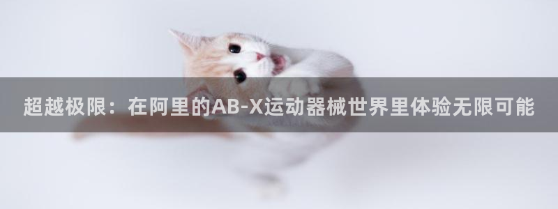 尊龙凯时人生就是搏平台