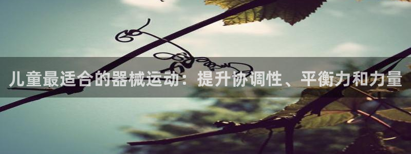 尊龙凯时是直营吗：儿童最适合的器械运动：提升协调性、