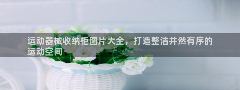 尊龙凯时美金能提取吗：运动器械收纳柜图片大全，打造整
