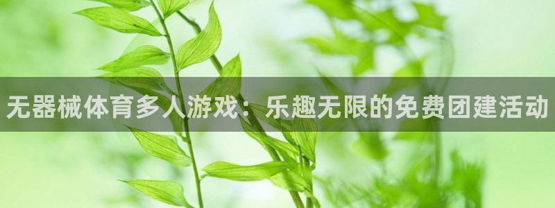 尊龙人生就是博登录首页：无器械体育多人游戏：乐趣无限的免费团