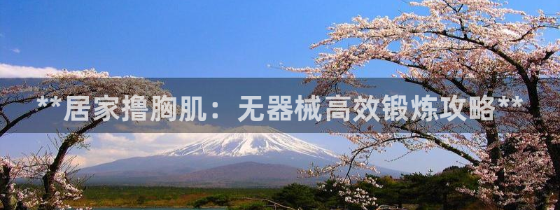 尊龙新版app首页：**居家撸胸肌：无器械高效锻炼攻略**