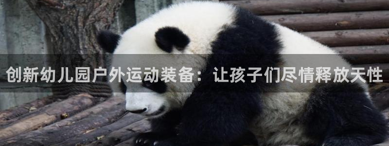 尊龙网站手机下载