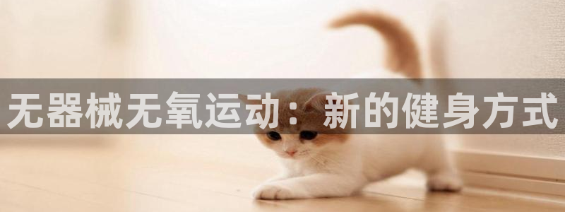 尊龙凯时出款：无器械无氧运动：新的健身方式