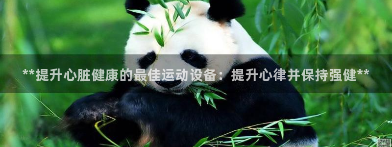 尊龙凯时提不了款：**提升心脏健康的最佳运动设备：提