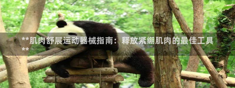 尊龙凯时人生就是博中国官网：**肌肉舒展运动器械指南