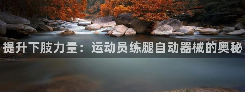 最新凯时官网网址：提升下肢力量：运动员练腿自动器械的
