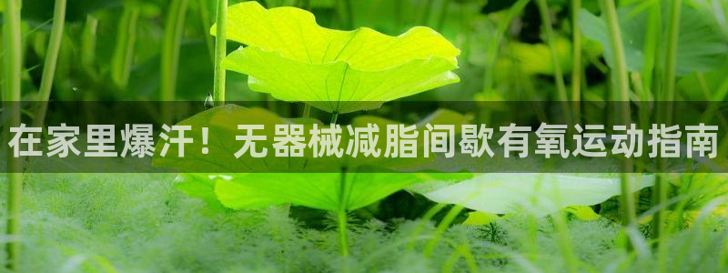 尊龙现金一下指导AG发财网：在家里爆汗！无器械减脂间歇有氧运