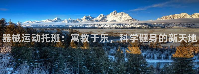 尊龙ag旗舰厅下载：器械运动托班：寓教于乐，科学健身的新天地