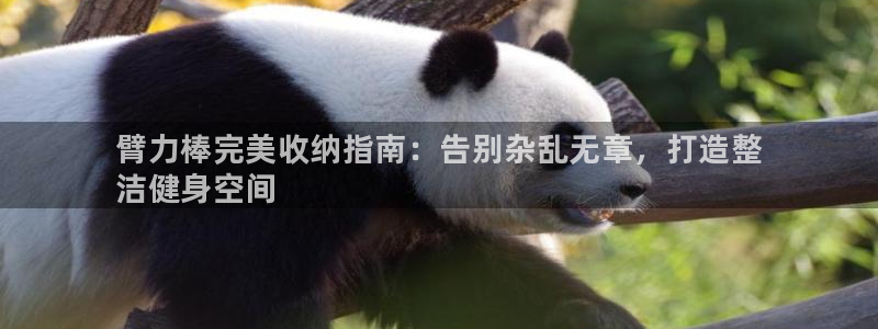 尊龙手机官方客户端下载安卓：臂力棒完美收纳指南：告别