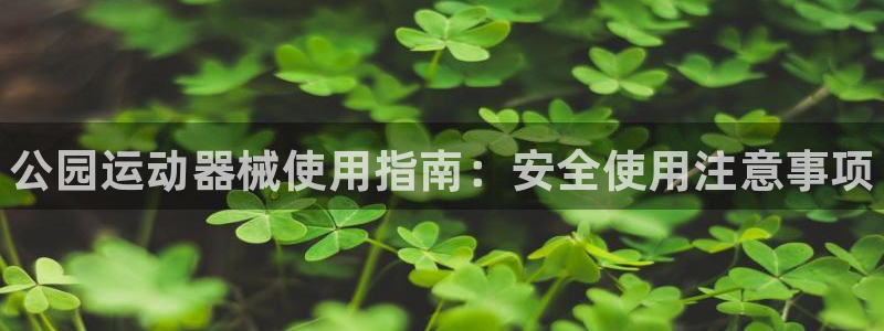 尊龙凯时法充十万返现多少：公园运动器械使用指南：安全