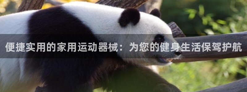 尊龙凯时产品种类：便捷实用的家用运动器械：为您的健身